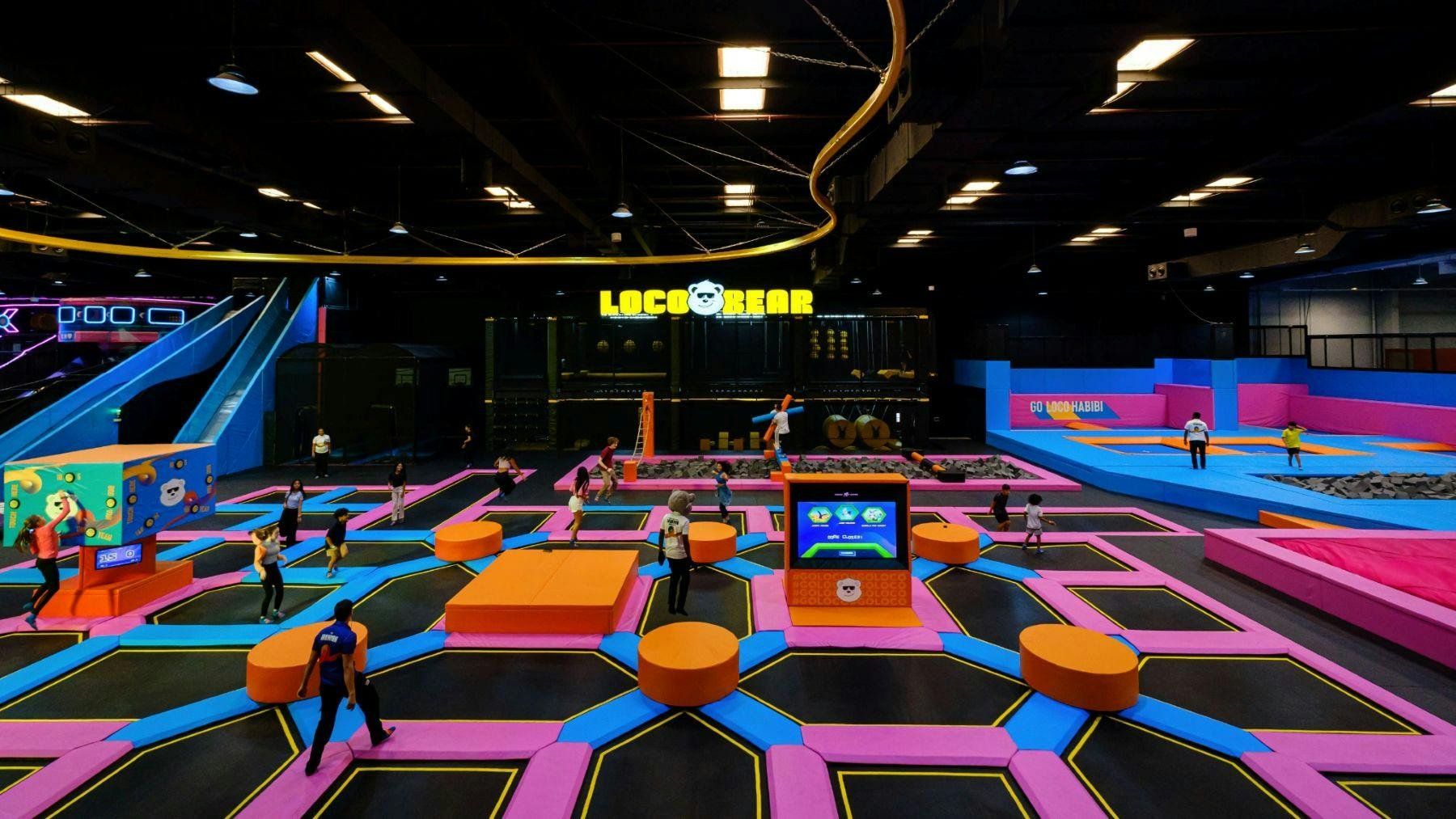 Loco Bear - The Ultimate Entertainment Hub: Entry Ticket - Photo 1 of 18